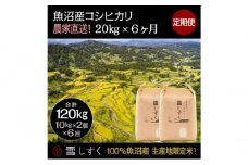【令和7年産】定期便！魚沼産コシヒカリ【合計120kg】毎月20kg×6回 お米 ブランド米 銘柄米 精米 白米 ご飯 おにぎり お弁当 和食 産地直送 