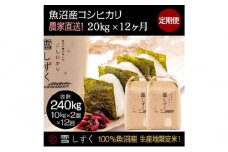 【令和7年産】定期便！魚沼産コシヒカリ【合計240kg】毎月20kg×12回 お米 ブランド米 銘柄米 精米 白米 ご飯 おにぎり お弁当 和食 産地直送 
