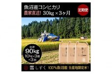 【令和7年産】定期便！魚沼産コシヒカリ【合計90kg】毎月30kg×3回 お米 ブランド米 銘柄米 精米 白米 ご飯 おにぎり お弁当 和食 産地直送 