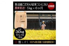 【令和7年産】定期便！魚沼産こだわり従来コシヒカリ【合計30kg】毎月5kg×6回 ブランド米 銘柄米 白米 精米 ご飯 おにぎり お弁当 
