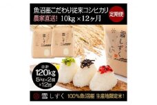 【令和7年産】定期便！魚沼産こだわり従来コシヒカリ【合計120kg】毎月10kg×12回 ブランド米 銘柄米 白米 精米 ご飯 おにぎり お弁当 