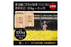 【令和7年産】定期便！魚沼産こだわり従来コシヒカリ【合計120kg】毎月20kg×6回 ブランド米 銘柄米 白米 精米 ご飯 おにぎり お弁当 