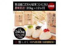 【令和7年産】定期便！魚沼産こだわり従来コシヒカリ【合計240kg】毎月20kg×12回 ブランド米 銘柄米 白米 精米 ご飯 おにぎり お弁当 