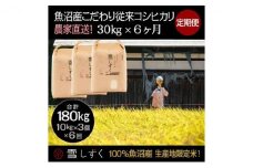 【令和7年産】定期便！魚沼産こだわり従来コシヒカリ【合計180kg】毎月30kg×6回 ブランド米 銘柄米 白米 精米 ご飯 おにぎり お弁当 