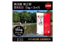 【令和7年産】定期便！魚沼産 新之助【合計15kg】5kg×3回 お米 米 こめ コメ 