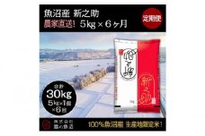 【令和7年産】定期便！魚沼産 新之助【合計30kg】5kg×6回 お米 米 こめ コメ 