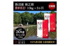 【令和7年産】定期便！魚沼産 新之助【合計30kg】10kg×3回 お米 米 こめ コメ 