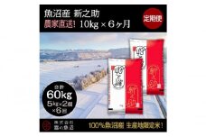 【令和7年産】定期便！魚沼産 新之助【合計60kg】10kg×6回 お米 米 こめ コメ 