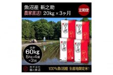 【令和7年産】定期便！魚沼産 新之助【合計60kg】20kg×3回 お米 米 こめ コメ 