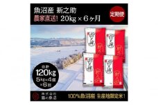 【令和7年産】定期便！魚沼産 新之助【合計120kg】20kg×6回 お米 米 こめ コメ 