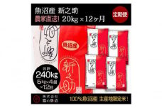 【令和7年産】定期便！魚沼産 新之助【合計240kg】20kg×12回 お米 米 こめ コメ 