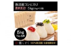 令和7年産！魚沼産コシヒカリ【農家直送!】 5kg(1kg×5袋) お米 米 コメ 