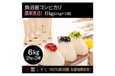 令和7年産！魚沼産コシヒカリ【農家直送!】 6kg(2kg×3袋) お米 米 コメ 
