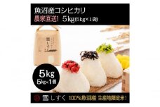 令和7年産！魚沼産コシヒカリ【農家直送!】 5kg×1袋 お米 米 コメ 