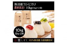 令和7年産！魚沼産コシヒカリ【農家直送!】 5kg×2袋 お米 米 コメ 