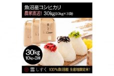 令和7年産！魚沼産コシヒカリ【農家直送!】 10kg×3袋 お米 米 コメ 