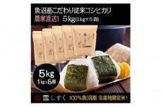 令和7年産！魚沼産こだわり従来コシヒカリ【農家直送!】5kg(1kg×5袋) お米 米 コメ 