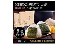 令和7年産！魚沼産こだわり従来コシヒカリ【農家直送!】6kg(2kg×3袋) お米 米 コメ 