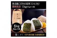 令和7年産！魚沼産こだわり従来コシヒカリ【農家直送!】5kg×1袋 お米 米 コメ 