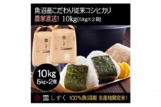 令和7年産！魚沼産こだわり従来コシヒカリ【農家直送!】5kg×2袋 お米 米 コメ 