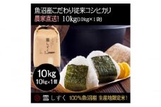 令和7年産！魚沼産こだわり従来コシヒカリ【農家直送!】10kg×1袋 お米 米 コメ 