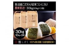 令和7年産！魚沼産こだわり従来コシヒカリ【農家直送!】10kg×3袋 お米 米 コメ 