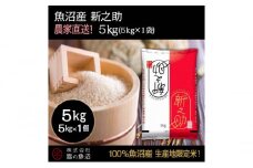 令和7年産！魚沼産 新之助【農家直送!】5kg×1袋 お米 米 コメ 