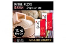令和7年産！魚沼産 新之助【農家直送!】5kg×2袋 お米 米 コメ 