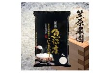 【新米】令和7年産　魚沼産コシヒカリ 5kg | 米 コメこしひかり 精米 ブランド米 お取り寄せ 十日町市