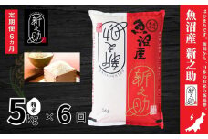 【定期便】魚沼産新之助(精米)5kg　全6回 米 お米 精米 しんのすけ 中魚沼 定期 新潟県 十日町市