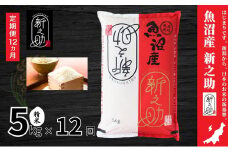 【定期便】魚沼産新之助(精米)5kg　全12回 米 お米 精米 しんのすけ 中魚沼 定期 新潟県 十日町市