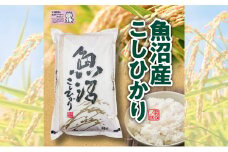 米 2025年産　十日町産こしひかり　精米5kg コシヒカリ コメ 十日町市