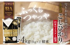 魚沼産 コシヒカリ 2kg ×2袋 計4kg お米 こしひかり 新潟 （お米の美味しい炊き方ガイド付き） 精米 ご飯 ブランド米 銘柄米 