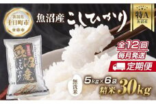 【定期便】｜無洗米｜ 新潟県 魚沼産 コシヒカリ お米 30kg×計12回 精米済み 年間 毎月発送 こしひかり（お米の美味しい炊き方ガイド付き） ご飯 ブランド米 銘柄米 