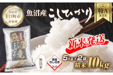 【令和7年産 新米予約】 無地熨斗 無洗米 魚沼産 コシヒカリ 5kg × 2袋 計10kg 新米 農家のこだわり 新潟県 十日町市 お米 こめ 白米 コメ 食品 人気 おすすめ 送料無料 精米 ご飯 ブランド米 銘柄米 
