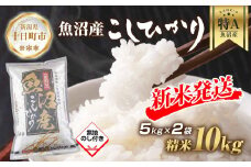 【令和7年産 新米予約】 無地熨斗 魚沼産 コシヒカリ 5kg × 2袋 計10kg 新米 農家のこだわり 新潟県 十日町市 お米 こめ 白米 コメ 食品 人気 おすすめ 送料無料 精米 ご飯 ブランド米 銘柄米 