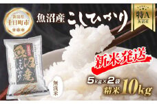 【令和7年産 新米予約】 無洗米 魚沼産 コシヒカリ 5kg × 2袋 計10kg 新米 農家のこだわり 新潟県 十日町市 お米 こめ 白米 コメ 食品 人気 おすすめ 送料無料 精米 ご飯 ブランド米 銘柄米 