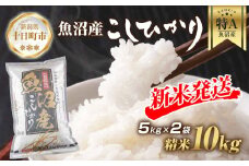 【令和7年産 新米予約】 魚沼産 コシヒカリ 5kg × 2袋 計10kg 新米 農家のこだわり 新潟県 十日町市 お米 こめ 白米 コメ 食品 人気 おすすめ 送料無料 精米 ご飯 ブランド米 銘柄米 