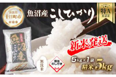 【令和7年産 新米予約】 無地熨斗 無洗米 魚沼産 コシヒカリ 5kg 新米 農家のこだわり 新潟県 十日町市 お米 こめ 白米 コメ 食品 人気 おすすめ 送料無料 精米 ご飯 ブランド米 銘柄米 