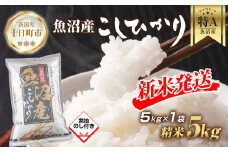 【令和7年産 新米予約】 無地熨斗 魚沼産 コシヒカリ 5kg 新米 農家のこだわり 新潟県 十日町市 お米 こめ 白米 コメ 食品 人気 おすすめ 送料無料 精米 ご飯 ブランド米 銘柄米 
