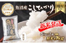 【令和7年産 新米予約】 無洗米 魚沼産 コシヒカリ 5kg 新米 農家のこだわり 新潟県 十日町市 お米 こめ 白米 コメ 食品 人気 おすすめ 送料無料 精米 ご飯 ブランド米 銘柄米 
