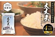 米 定期便 （10kg×4か月） 合計40kg 新潟県産 コシヒカリ 特別栽培米 令和5年産 「大丈夫コシヒカリ」 精米したてをお届け 新潟のど真ん中見附市 こしひかり 県認証米