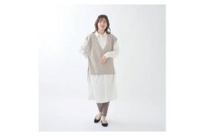 ＜レディース＞Vネックベスト（ベージュ）カシミア同等 ニット サイズフリー レディース 服 ファッション おしゃれ 日本製 秋 冬 無地 贈り物 祝い 誕生日 卒業 プレゼント ギフト クリスマス 新潟県 見附市