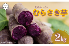 産直みつば むらさき芋 2kg 天ぷら お芋 いも さつまいも サツマイモ 熟成 野菜 アントシアニン豊富 食物繊維豊富 スイートポテト 新潟県 見附市