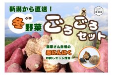 産直みつば 新潟直送！ 冬野菜 ごろごろセット 旬の野菜 サツマイモ 里芋 カボチャなども入る 新潟県 見附市