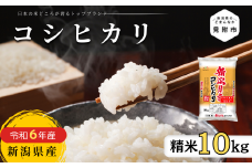 R6年産 新潟県産 コシヒカリ 10kg（精米）