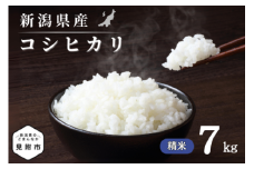 令和7年産 新潟県産 コシヒカリ 7kg 精米 新米 お米 白米 コシヒカリ こしひかり おすすめ 人気 こめ コメ 新潟 見附 見附市 7年 2025年産 ふるさと納税 諸長