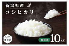 令和7年産 新潟県産 コシヒカリ 10kg 無洗米 新米 お米 白米 コシヒカリ こしひかり おすすめ 人気 こめ コメ 新潟 見附 見附市 7年 2025年産 ふるさと納税 諸長