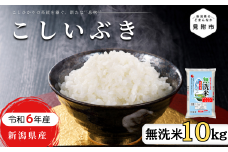 R6年産 無洗米 新潟県産 こしいぶき 10kg
