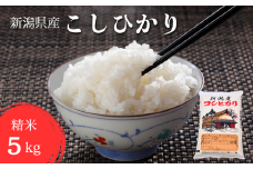 【令和6年産新米】 こしひかり 精米 5kg せいまい 米 こめ コメ 新潟県 産 おすすめ オススメ